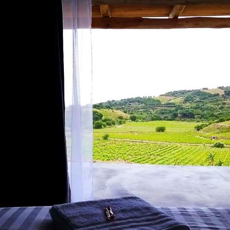 Les Cabanons De Meme Jeannette Bed & Breakfast Port Vendres Dış mekan fotoğraf