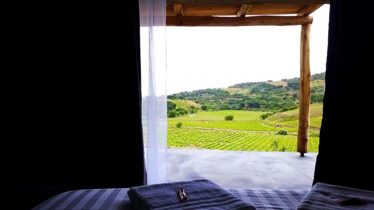 Les Cabanons De Meme Jeannette Bed & Breakfast Port Vendres Dış mekan fotoğraf
